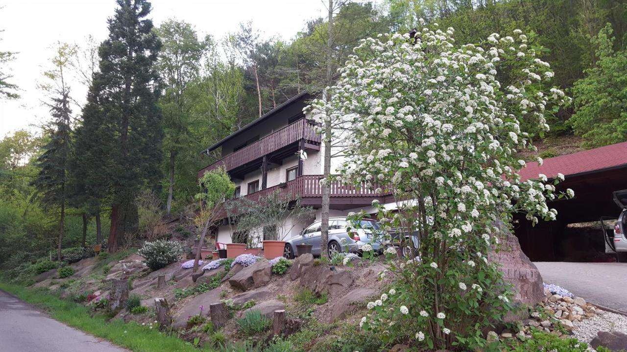 Gaestehaus Gerhardt Schweigen-Rechtenbach Exterior photo
