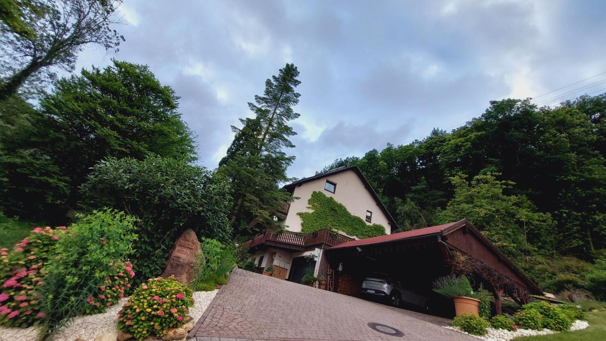 Gaestehaus Gerhardt Schweigen-Rechtenbach Exterior photo