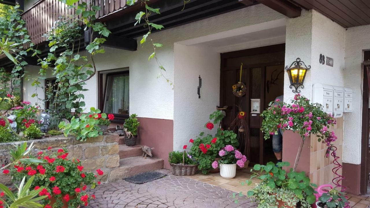 Gaestehaus Gerhardt Schweigen-Rechtenbach Exterior photo